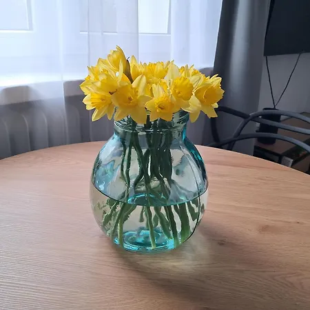 Lejlighed Aleja 29 Listopada *