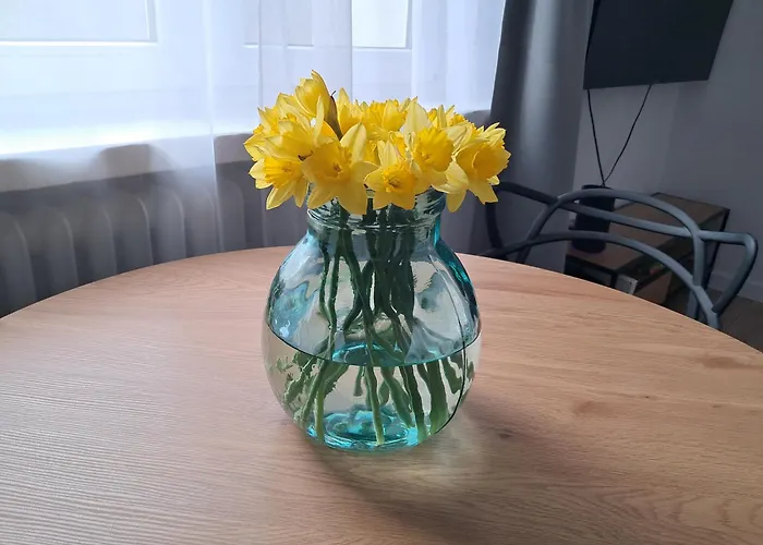 Apartment Aleja 29 Listopada *